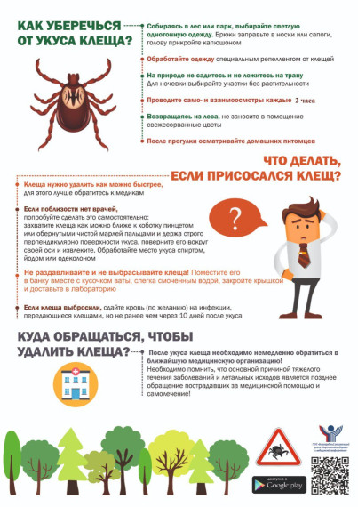 Памятка по профилактике инфекций, передающих клещами.